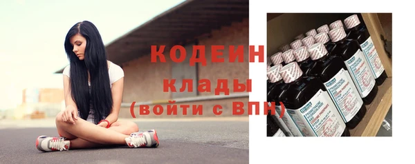 МДПВ Нея