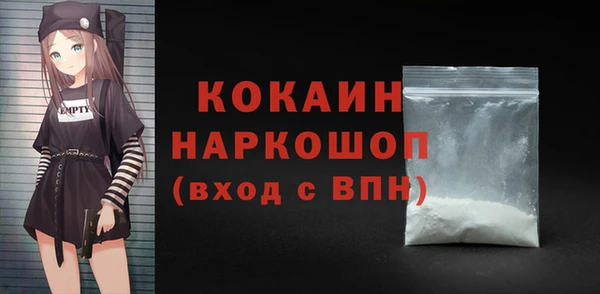 МДПВ Нея