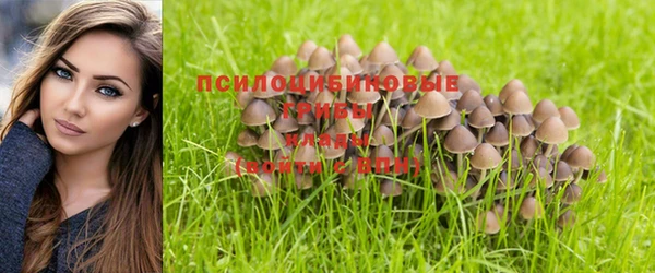 кокаин Нефтекумск