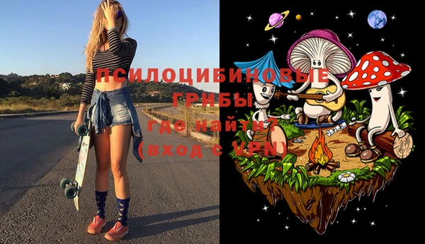 ешки Новокубанск